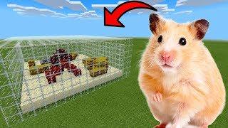 MCPE: How To Make a Hamster Farm