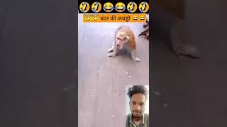 Bandar Ne bandariya Se Kiya badtamiji monkey ki fight #video #viral #funny #trending #youtubeshorts