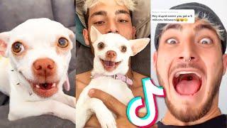 mreviatar | Funny Tiktok Compilation 2