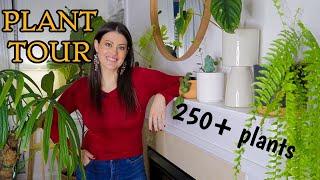 Full Houseplant Home Tour | 250+ Plants | My Entire Plant Collection