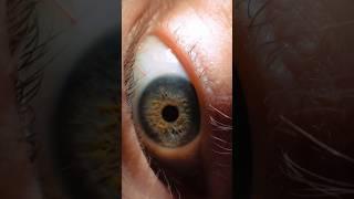 The universe is in your eye. #universe #cosmos #astronomy #space #nasa #shorts #fyp