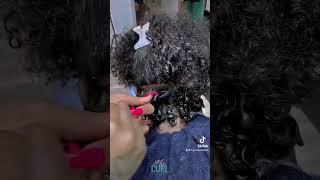 Wash and go defined curls (juicy)