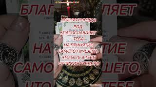 СОВЕТ ОТ ДУХОВ РОДА🪄