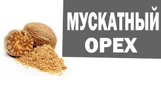 Мускатный орех. Мускатный орех- польза и противопоказания