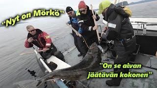 Ruijanpaltaan kalastusta Norjassa | Seiland 2023 | halibut fishing