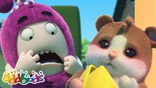 Newt's Hamster Hazard! | Oddbods Cartoons | Funny Cartoons For Kids