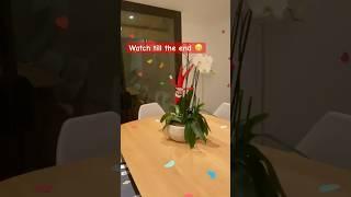 When you let your Child decorate house at Christmas. #christmasdecoration #funnyvideo #funnyshorts