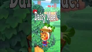 What I Would Feed You Based On Your Favorite ACNH NPC Part 5! #acnh #animalcrossing #shorts