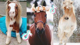 1 HOUR Of Reletable HORSE TikTok Compilation #150