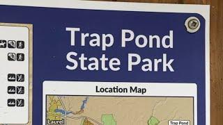 Trap Pond State Park RV Camping