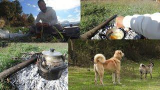 KÖPEKLERE VEDA... KÖZ ÜZERİNDE KARA DEMLİK ÇAYI VE İNEK YAĞIN DA YUMURTA  ( eating in nature )