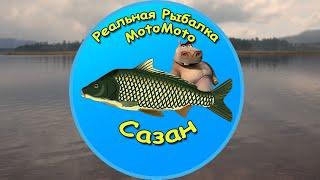 Как поймать Сазана на Братском водохранилище [NEW] | Реальная Рыбалка