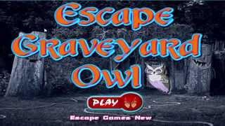 Escape Graveyard Owl walkthrough. .