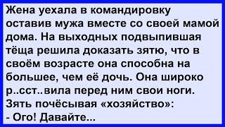 Про подвыпившую тёщу и зятя.  Сборник! Клуб анекдотов!