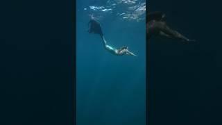 Mermaid explores Channel Islands ‍️ #mermaid #verobeachmermaid