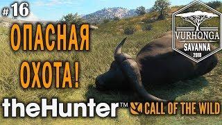 theHunter Call of the Wild #16  - Опасная Охота - Лук, Арбалет - Буйвол, Гну