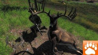 Thehunter Classic Whitetail Deer Redfeather Falls 2019 (4K ULTRA HD)