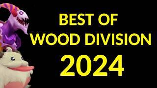 Best of Wood Division 2024