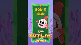 Deniz altının en tatlı öğrencisi Sütlaç, Mercanya’da seni bekliyor! #Mercanya