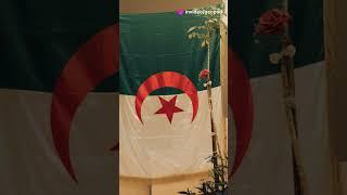 Discover the hidden Algerian Culture and History.