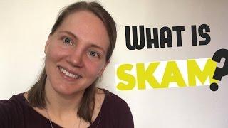 What is SKAM? (Norwegian TV-Show)