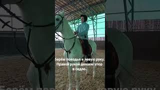 Спешивание с лошади. Как правильно это делать.