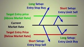 How to Start Trading | Types of Orders forex market