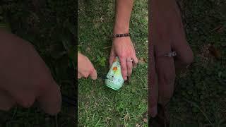 how to make a stove from a tin can girl survival
