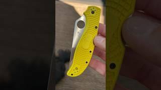 Best Fishing Knife: Spyderco Salt Stretch XL H2 Serrated LW #boat #fishing #youtubeshorts #shorts