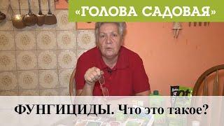 Голова садовая - ФУНГИЦИДЫ. Что это такое?