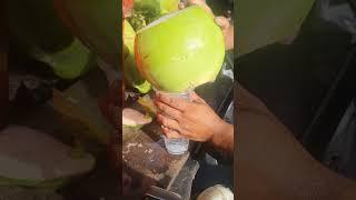 The Most Impressive Coconut Cutting Skills