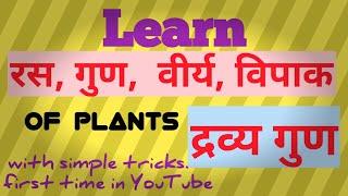 रस, गुण, वीर्य, विपाक of plants || द्रव्य गुण || with simple tricks || easy Ayurveda with Vicky ||