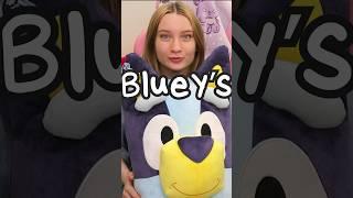 BLUEY’s HOUSE