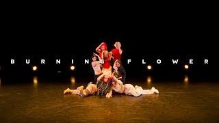 HANA / Burning Flower -Choreography Video-