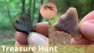 Treasure Hunting for Arrowheads | Mesolithic Find | includes Biting Asian Tiger Mosquitos