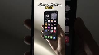 iPhone 11 Pro Max iOS 18