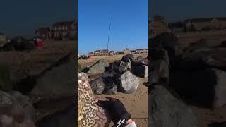 Ray fish released #fishing #fish #fishingdrone #seafishing #travel #fishinggear #beach #nature