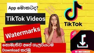 How to download Tik Tok videos without watermark | how to remove Tik Tok watermark| Sinhala tutorial