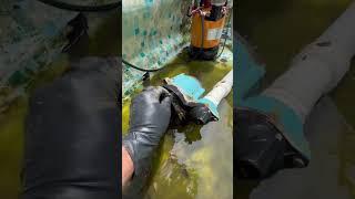 Crazy Swimming Pool Transformation 
