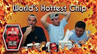 One Chip Challenge | Eating the World's HOTTEST Chip | NICEBRO #OneChipChallenge