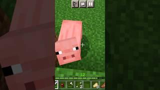  Hilarious Minecraft Fails and Funny Moments!  | #MinecraftShorts #FunnyGameplay