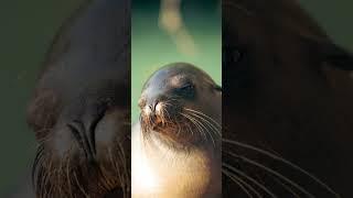 Ecuador’s Wonders | From the Andes to Galapagos Paradise