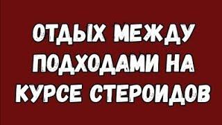 Отдых между подходами на курсе стероидов