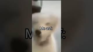 nardo