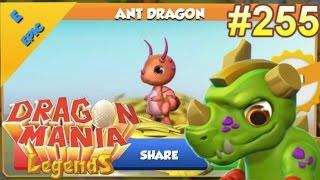 ANT HATCHING + BOXER DUNGEON DRAGON + NEW EVENT INFO! - Dragon Mania Legends #255