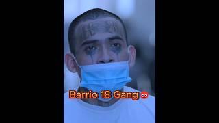 Barrio 18: The Rise of a Ruthless Gang