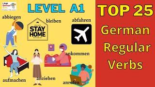 Learn German for Beginners |  A1 Level  | Top 25 Regular Verbs