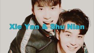 Xie Yan & Shu Nian  | Insane (Uncontrolled Love)