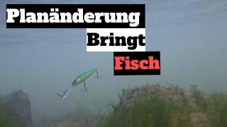 Angeln im Herbst [ Planänderung bringt Fisch ?! ]