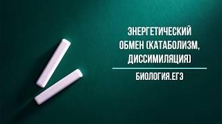 Энергетический обмен (диссимиляция, катаболизм)